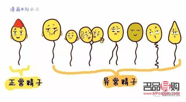 精子可以美容么？科學(xué)解讀精子與美容的關(guān)系