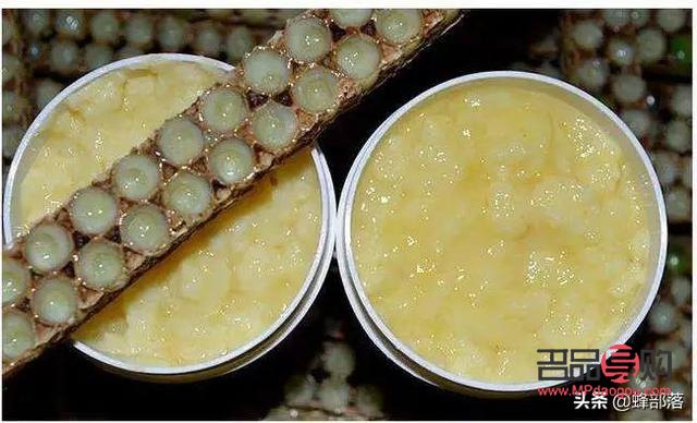 蜂皇漿美容功效探究，自然養(yǎng)顏新選擇