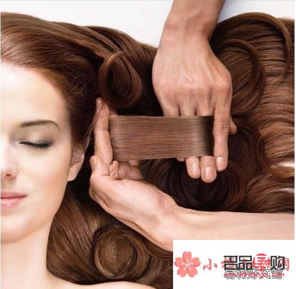 <h3>身體與頭發護理：哪個更為重要？</h3>