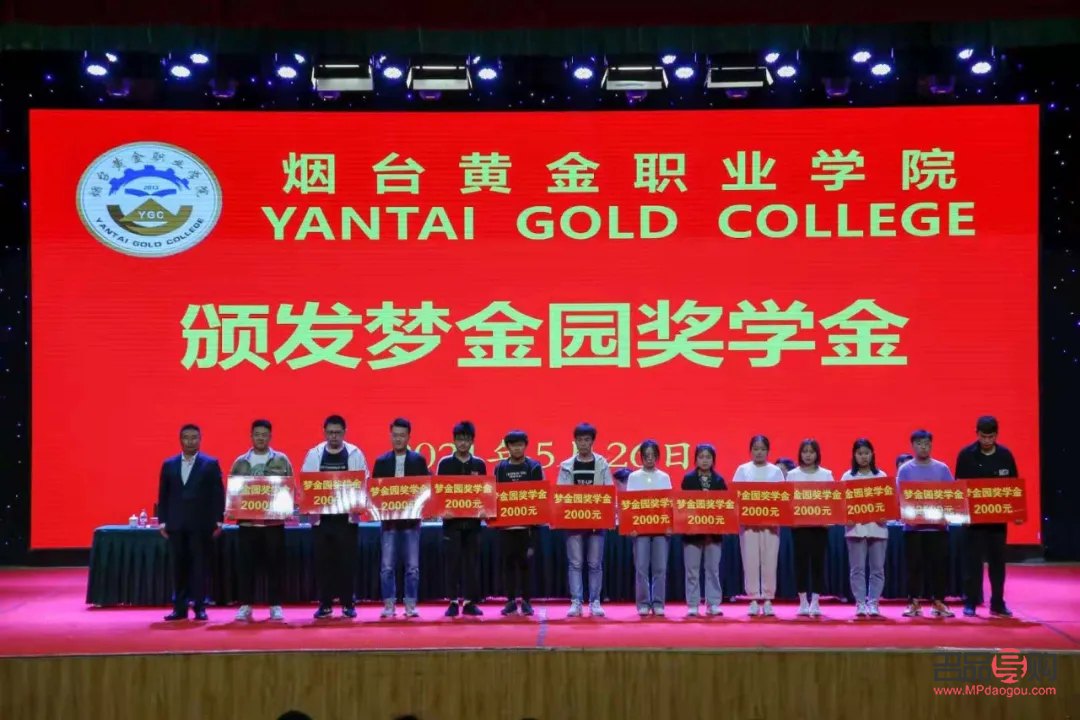 黃金市場行情分析2022年(黃金市場行情分析2022年11月)