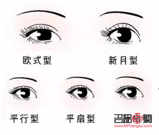 雙眼皮什么形狀的好看(雙眼皮什么形狀的好看一點)