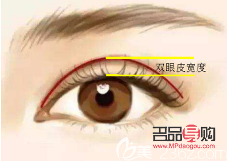 怎么可以讓內雙變成外雙雙眼皮(怎么可以讓內雙變成外雙雙眼皮圖片)