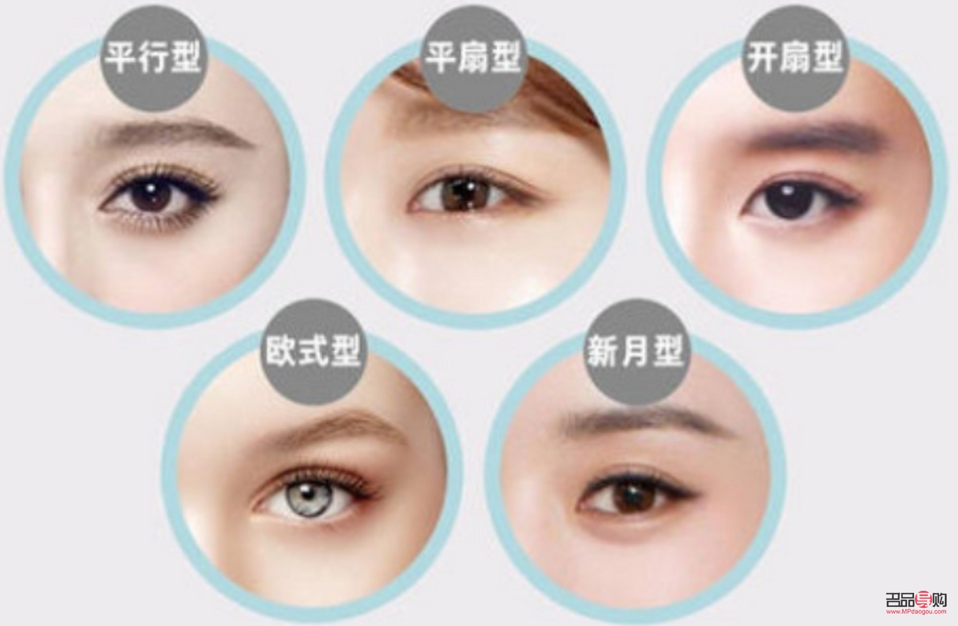 雙眼皮有幾種眼型圖片大全圖解(雙眼皮有幾種眼型圖片大全圖解女)