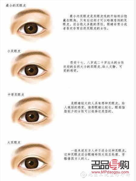 雙眼皮有幾種眼型圖片大全圖解(雙眼皮有幾種眼型圖片大全圖解女)