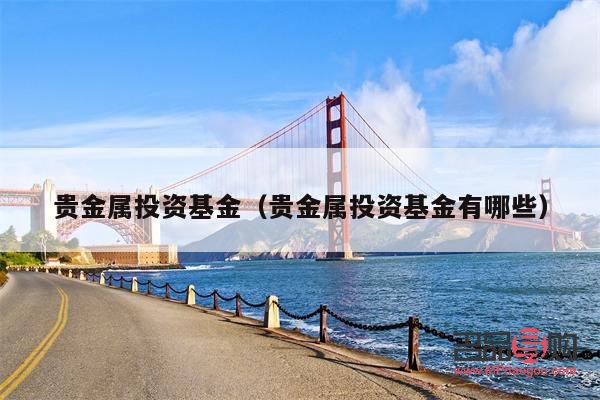 投資貴金屬的基金有哪些(投資貴金屬的基金有哪些公司)