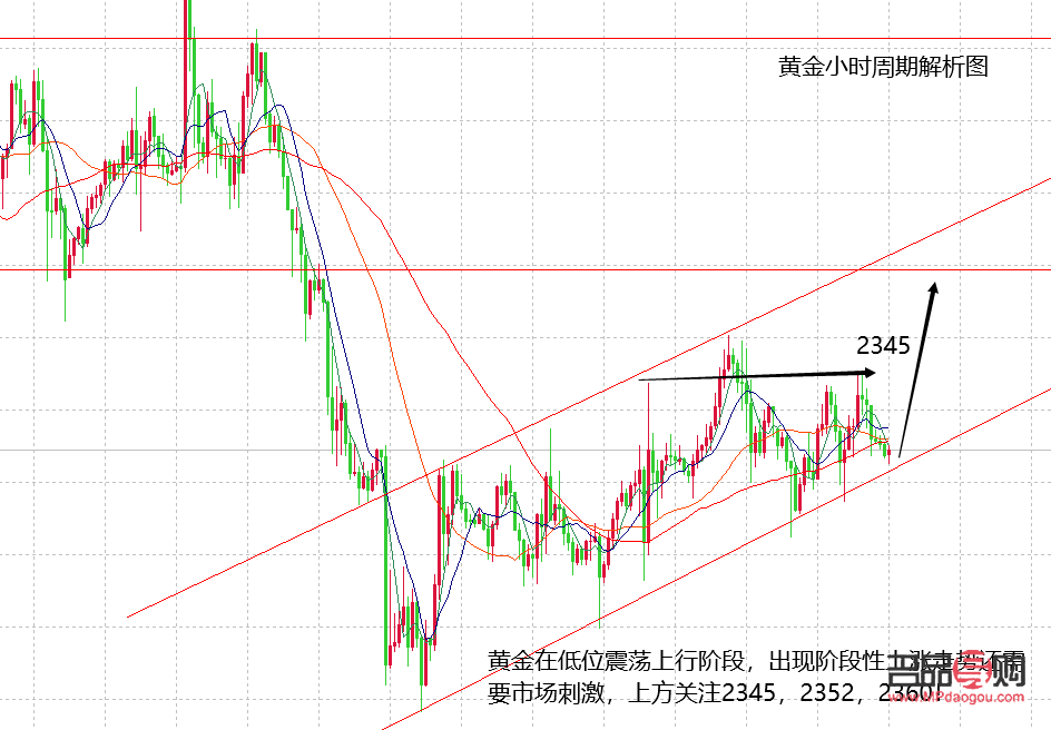 全球黃金市場(chǎng)走勢(shì)分析：投資熱潮與未來(lái)展望