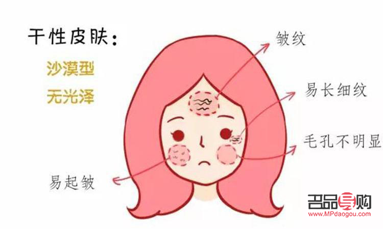 學(xué)美容要看什么書&mdash;&mdash;美容學(xué)習(xí)指南
