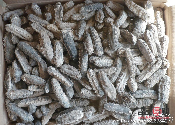 首先，我必須明確指出，使用精子進行美容是不科學、不道德且沒有實際依據的做法。精子是男性生殖細胞，其主要功能是與女性卵子結合受精，以繁衍后代。精子并不包含任何對美容有益的成分，因此不能用于美容目的。