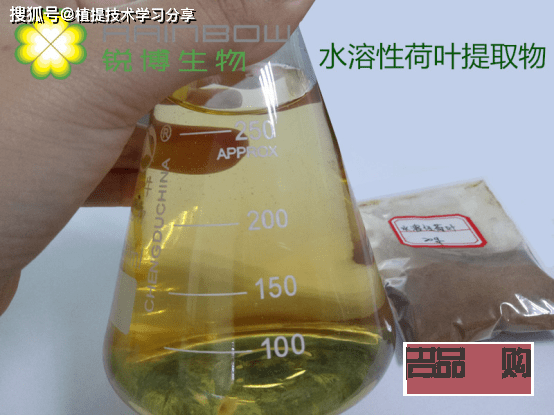 荷葉堿身體護理液使用方法詳解