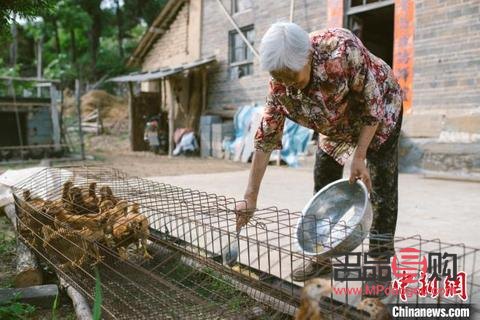 紅包類似的禮物探秘：傳統與創新的結合