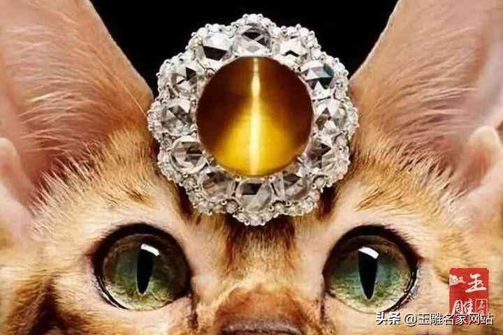 貓眼石什么顏色最好(貓眼石顏色最好的是什么顏色)