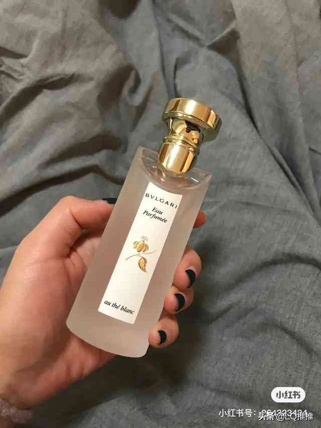 寶格麗香水哪款好聞(寶格麗香水哪個味道好聞)