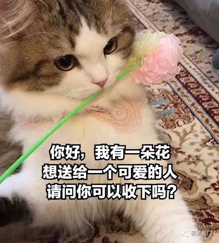 七夕送男朋友什么禮物比較好(七夕送男朋友什么禮物比較好實用)