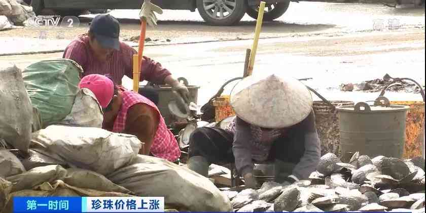 珍珠的價格(珍珠貴嗎)