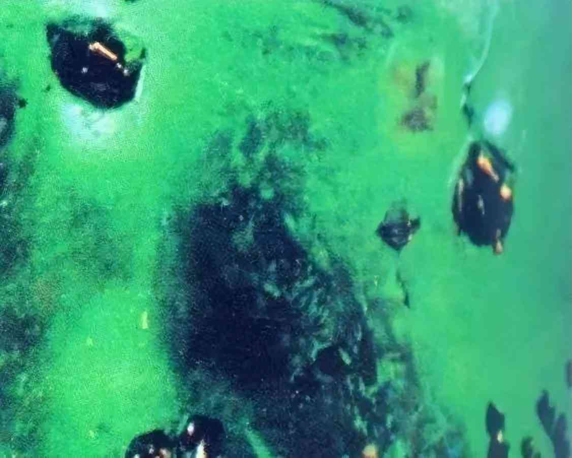 祖母綠戒指一般多少錢(祖母綠戒指一般多少錢一對)插圖12