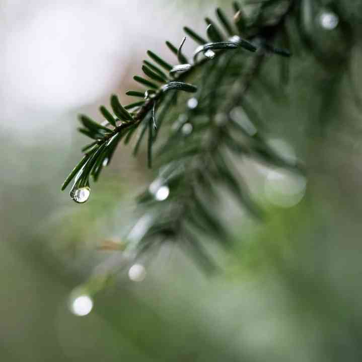 不同顏色水晶的寓意及功效(22種水晶的功效與禁忌)插圖9