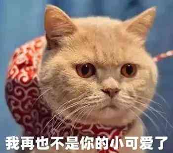 天使之吻胎記(紅色胎記手按壓就消失)插圖1