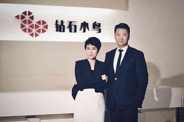 鉆石小鳥屬于什么檔次(鉆石小鳥算哪個檔次)插圖1