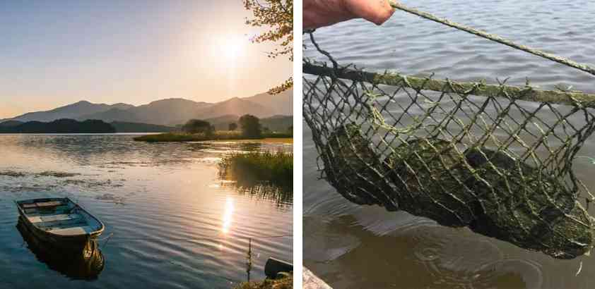 淡水珍珠不值錢(qián)嗎(戴海水珍珠好還是淡水珍珠好)插圖10