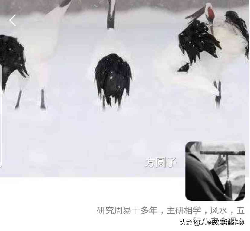 粉晶狐貍多久認(rèn)主人(粉晶狐貍碎了說明什么)插圖2