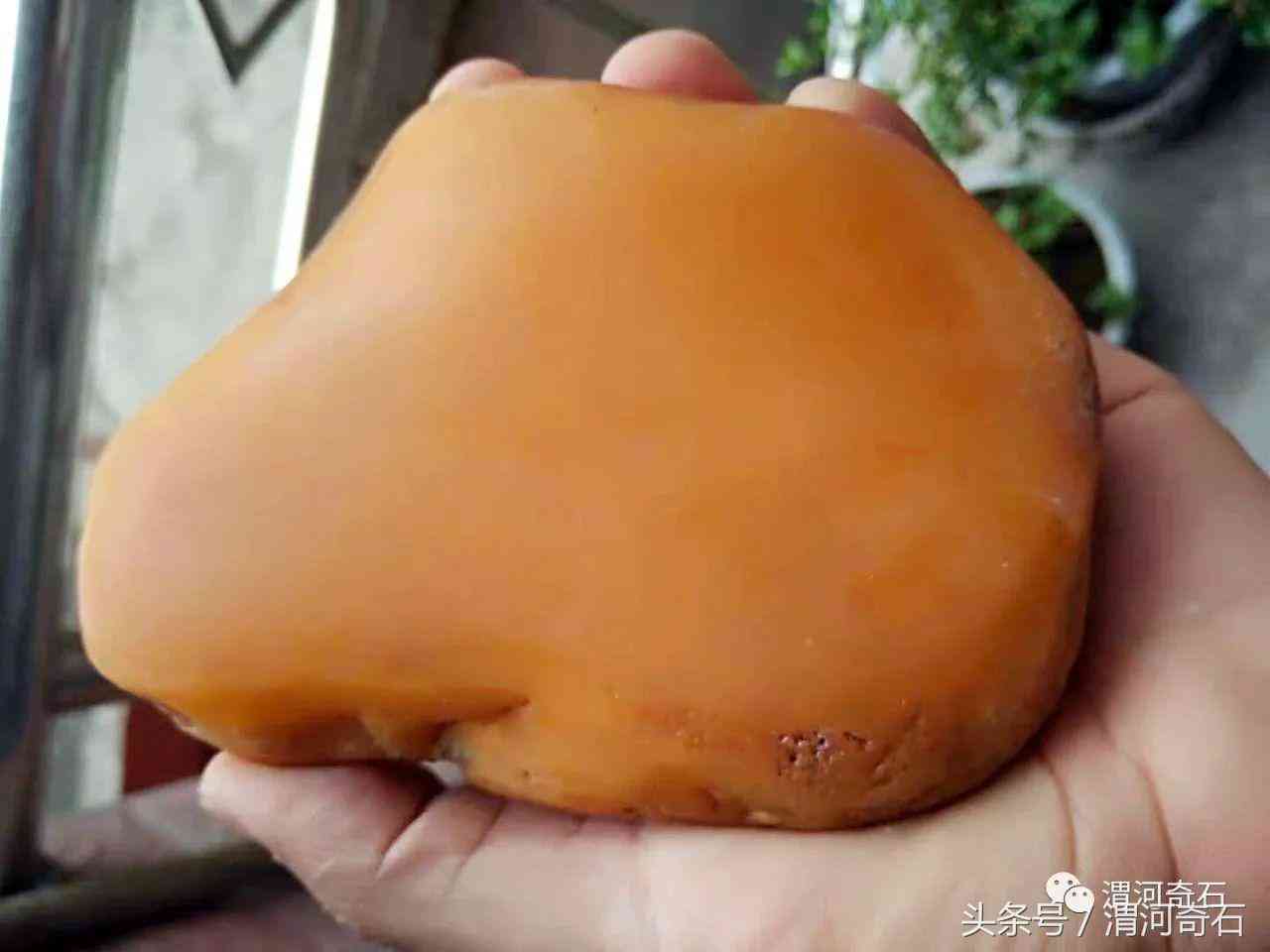 黃蠟石產地在什么地方(黃蠟石分布)插圖23