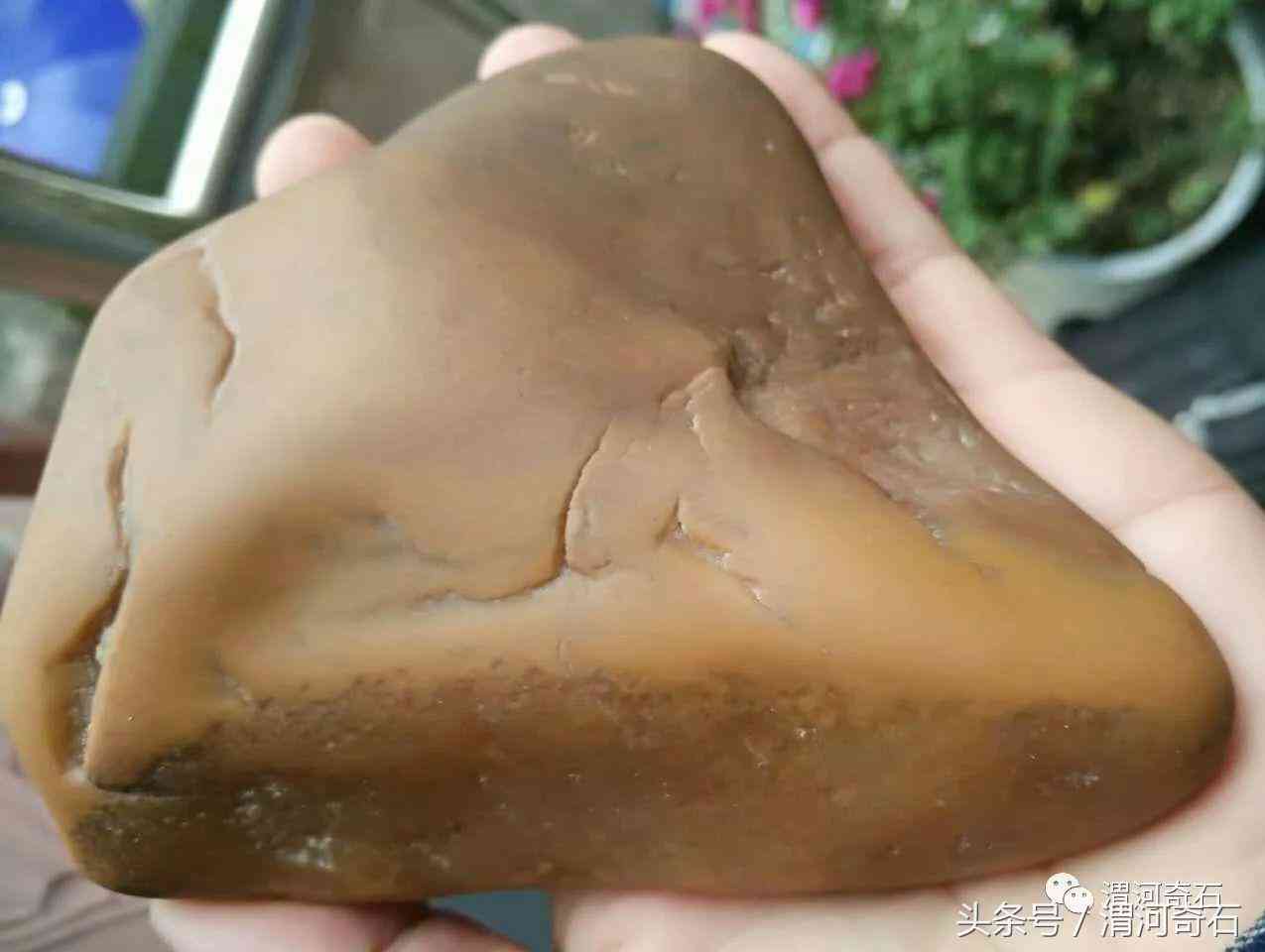 黃蠟石產地在什么地方(黃蠟石分布)插圖24