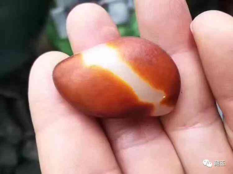 籽料多少錢(qián)一克(和田黃玉籽料多少錢(qián)一克)