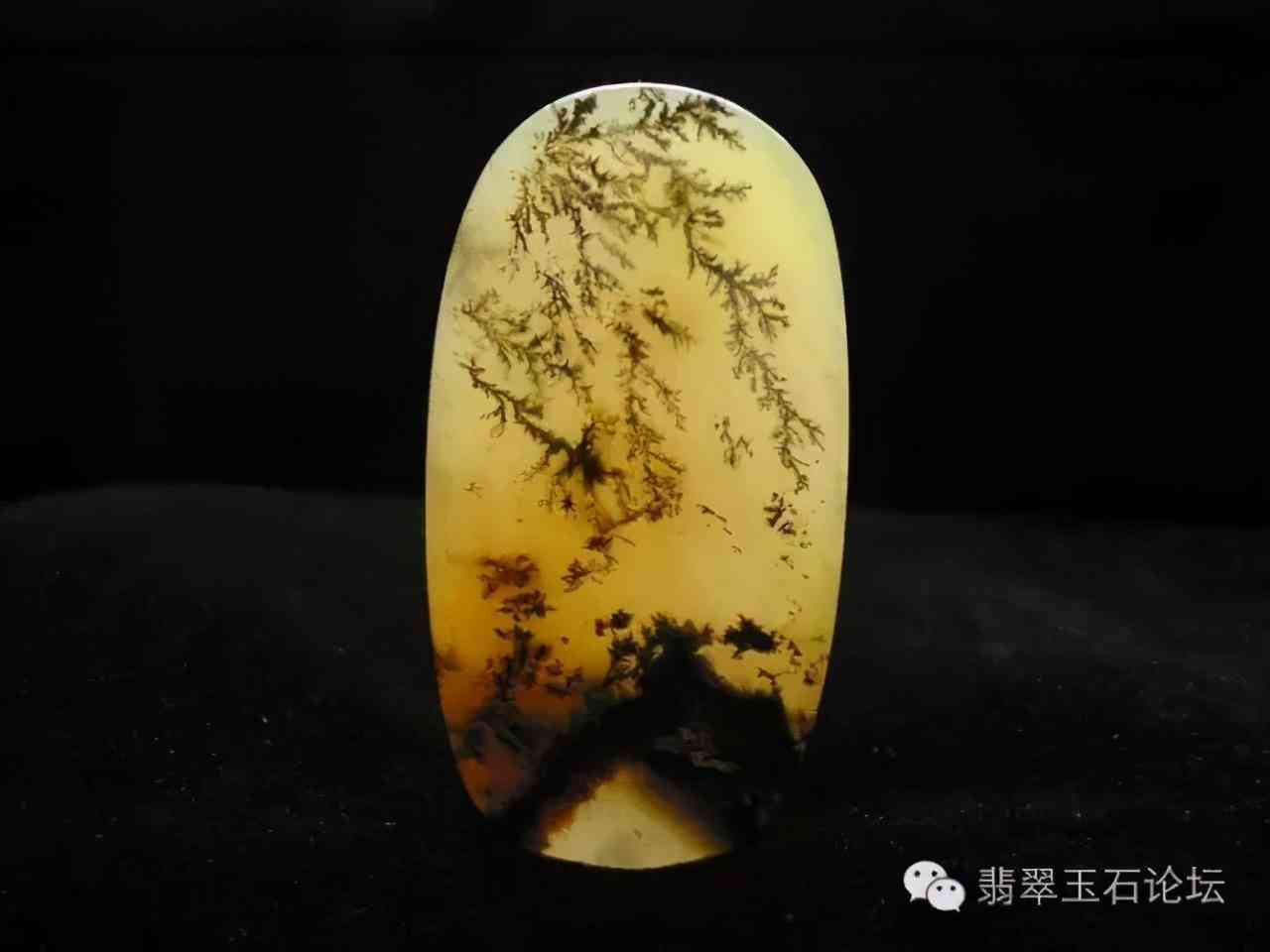 黃龍玉好還是翡翠好(黃龍玉和翡翠哪個更值錢)插圖1