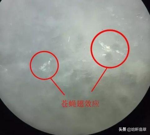 a貨翡翠鑒別最直接方法(a貨翡翠如何鑒別)插圖4