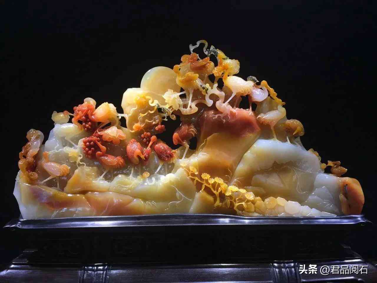 黃龍玉好不好(黃龍玉好不好養)插圖20