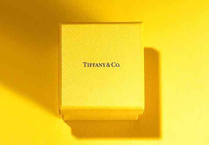 tiffany蒂芙尼項鏈價格(蒂芙尼項鏈多少錢是真的嗎)插圖15