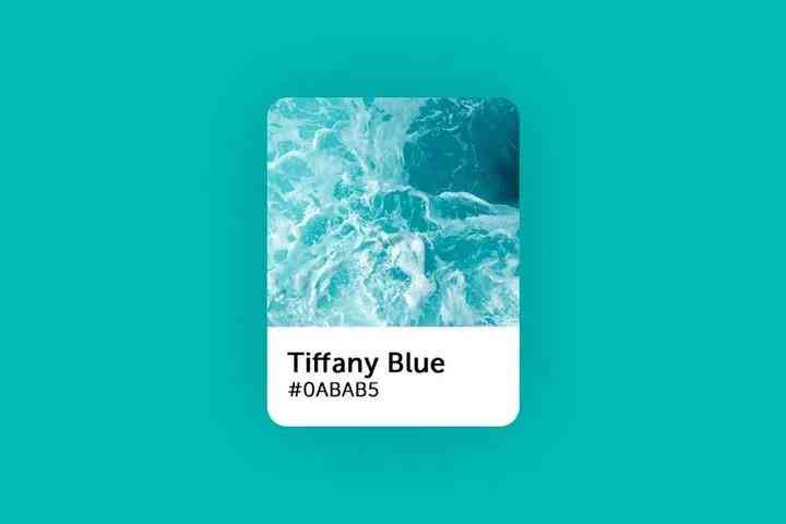 tiffany蒂芙尼項鏈價格(蒂芙尼項鏈多少錢是真的嗎)插圖45