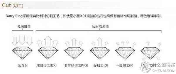 鉆石小鳥(niǎo)怎么樣知乎(鉆石小鳥(niǎo)是真的嗎)插圖4