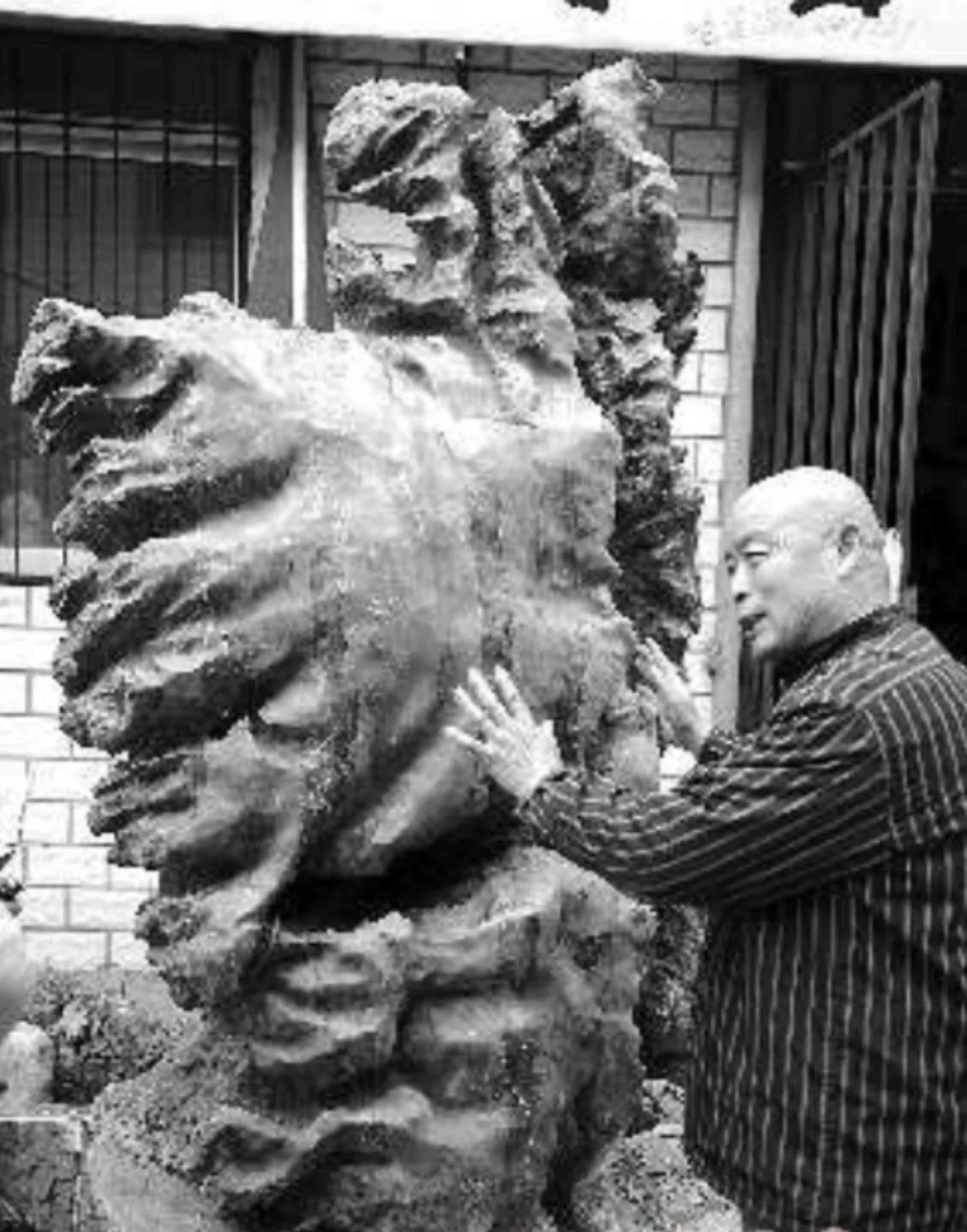 黑隕石價格多少錢一克(黑隕石價格能值多少錢一克)插圖2