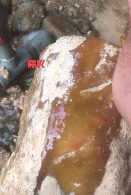 黃蠟石產(chǎn)地(黃蠟石哪里產(chǎn)地的最好)插圖45