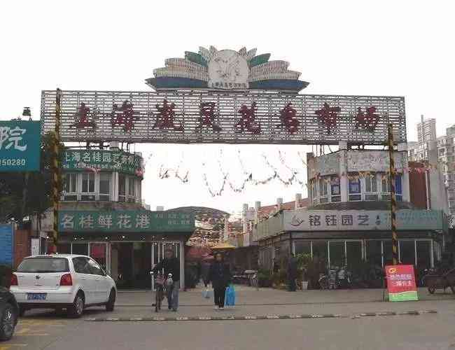 中國哪里可以撿到翡翠原石(中國哪里可以撿到翡翠原石的地方)插圖3