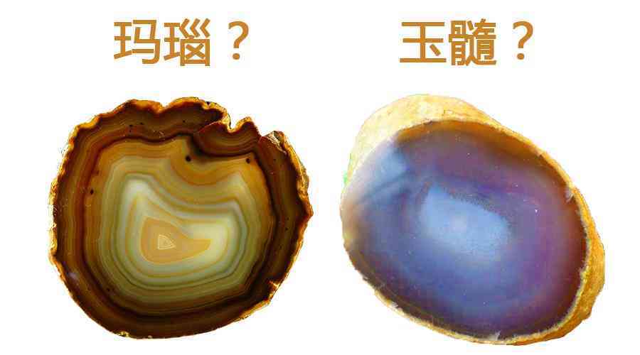 瑪瑙與玉髓有什么區別(瑪瑙與玉髓有什么區別圖片)