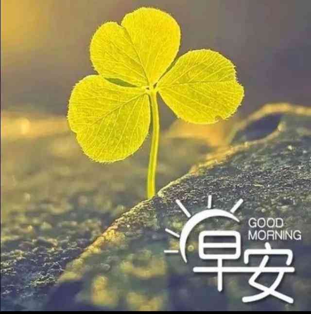 送什么給男情人最感動(送男人禮物前十件排名)