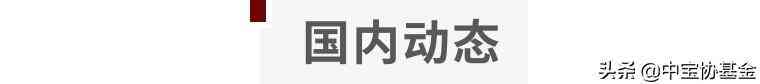 今日金價pt950鉑金多少錢一克(今日pt950鉑金黃金價格查詢)
