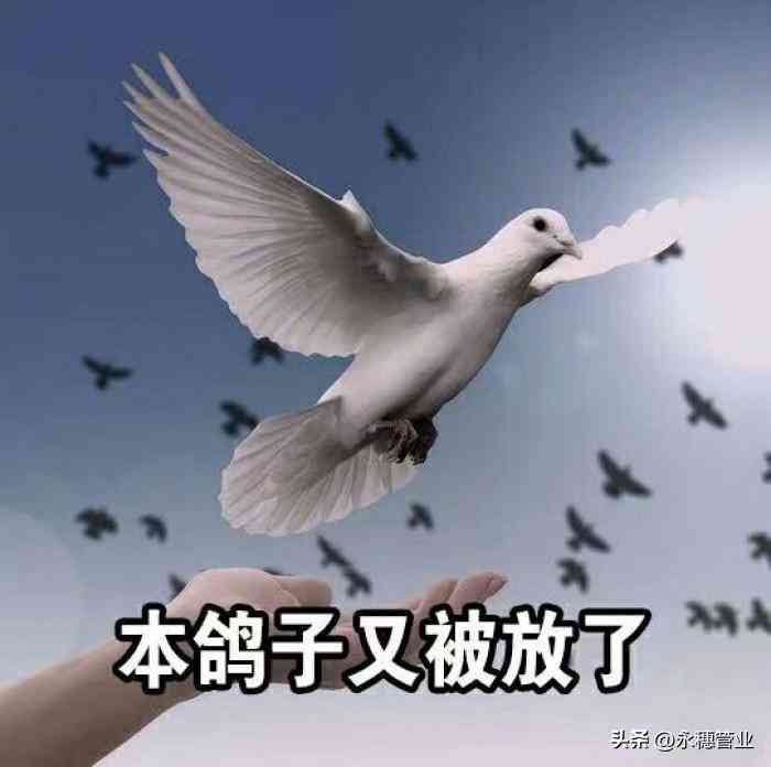 黃金現在多少錢1克(黃金現在多少錢1克999的)