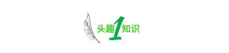 男士戴什么項鏈好(男士戴什么項鏈好看 品牌)