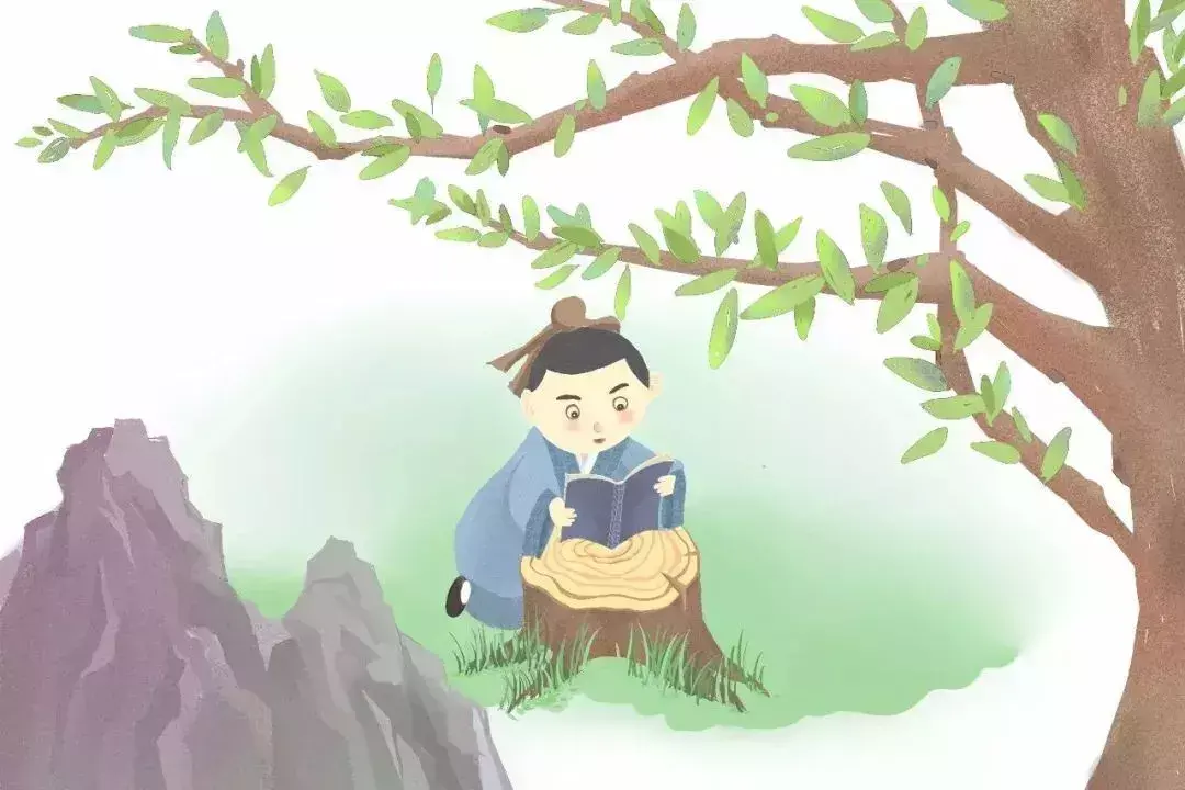 怎么鑒別珍珠的真假(怎么識別珍珠的真假呢?)