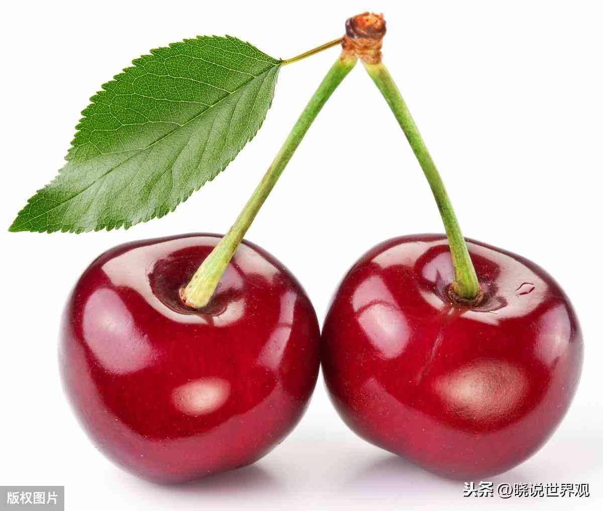 瑪瑙如何辨真假(瑪瑙的功效與作用)