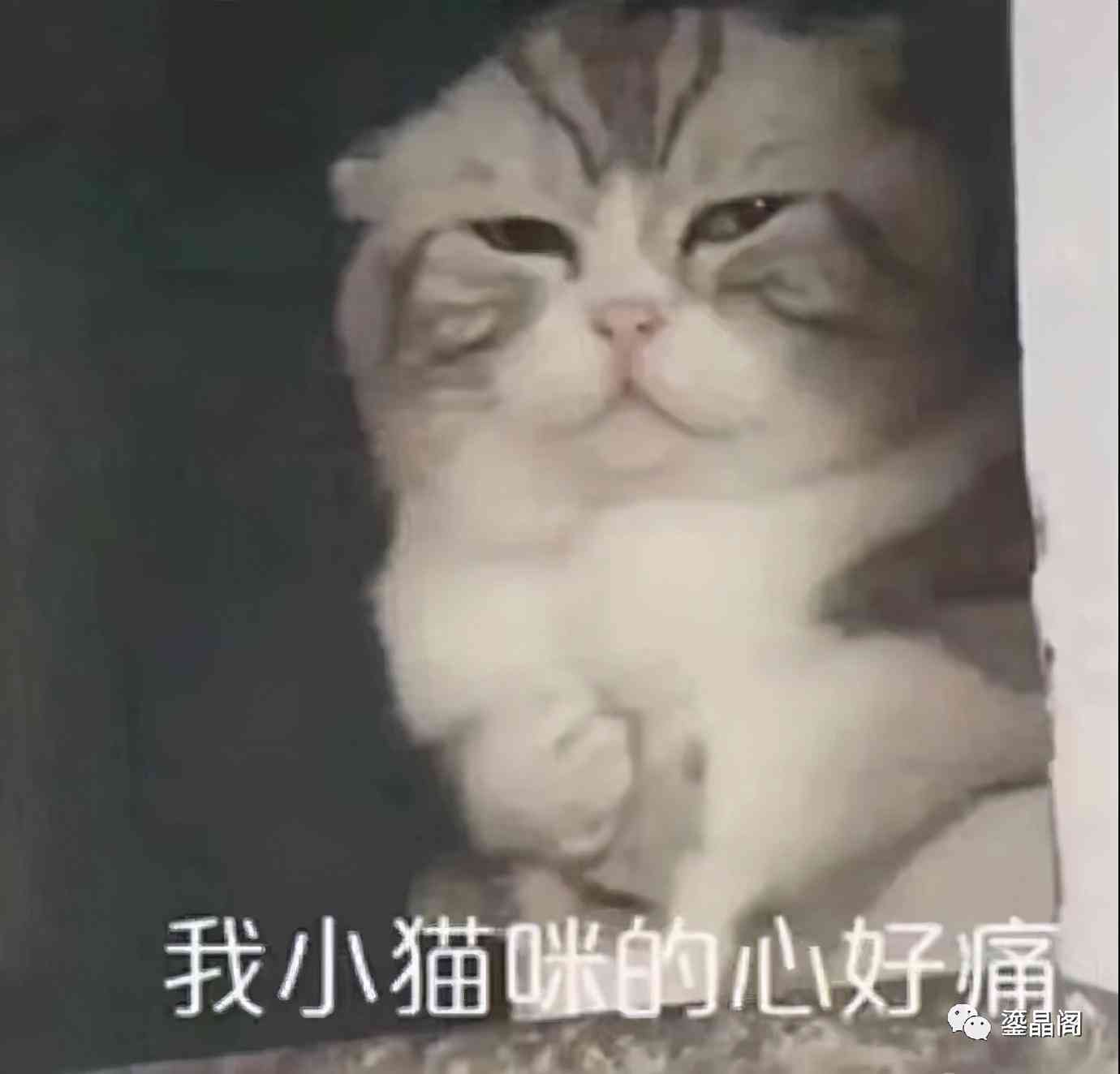 水晶的功效與作用(紫水晶的功效與作用)