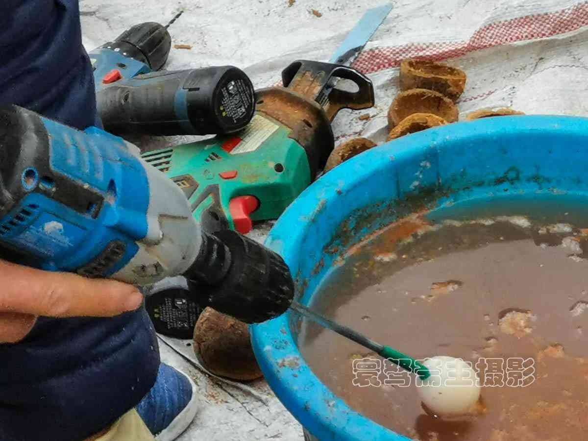 想知道“千眼菩提”是一種什么樣的文玩飾品么，那就來這里看看吧