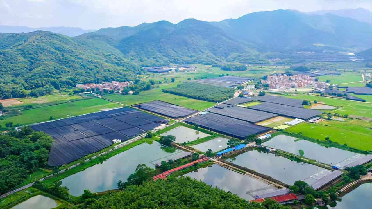 肇慶化妝品彩盒批發(fā)市場(肇慶小商品批發(fā)市場)