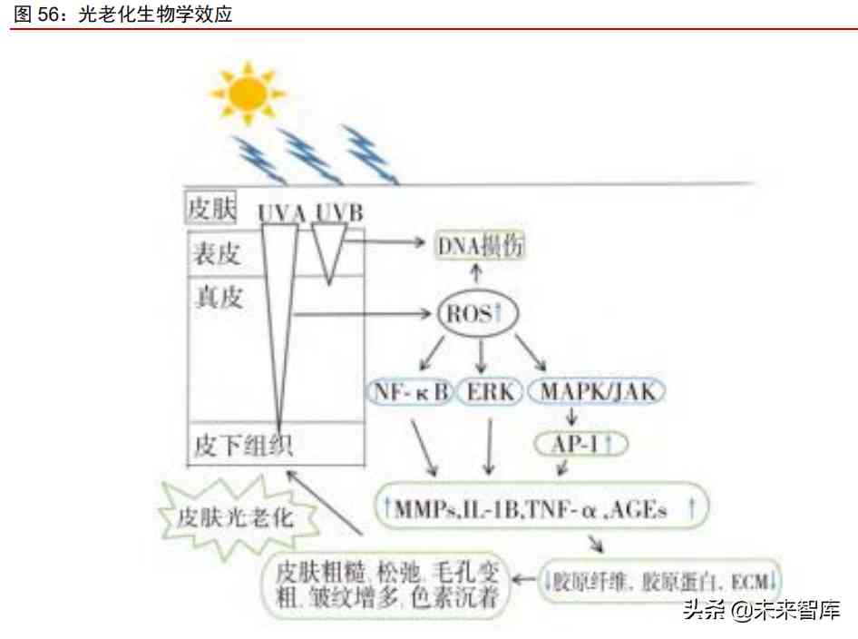 中國化妝品原材料市場調查(中國化妝品原材料市場調查研究)插圖21
