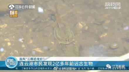 甲殼先生的化妝品咋樣(甲殼素化妝品怎么樣)插圖1
