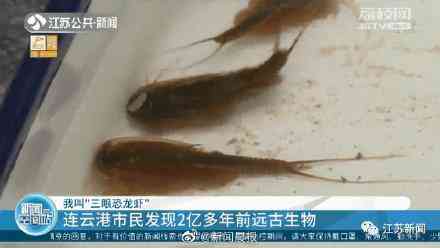 甲殼先生的化妝品咋樣(甲殼素化妝品怎么樣)插圖2