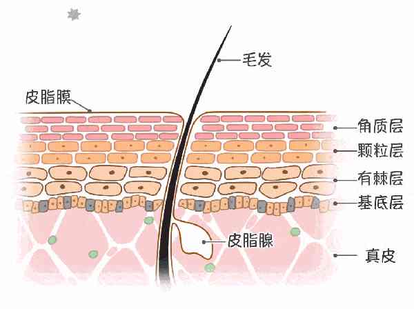 透水混凝土和女生化妝品(透水混凝土和女生化妝品有關(guān)系嗎)插圖8
